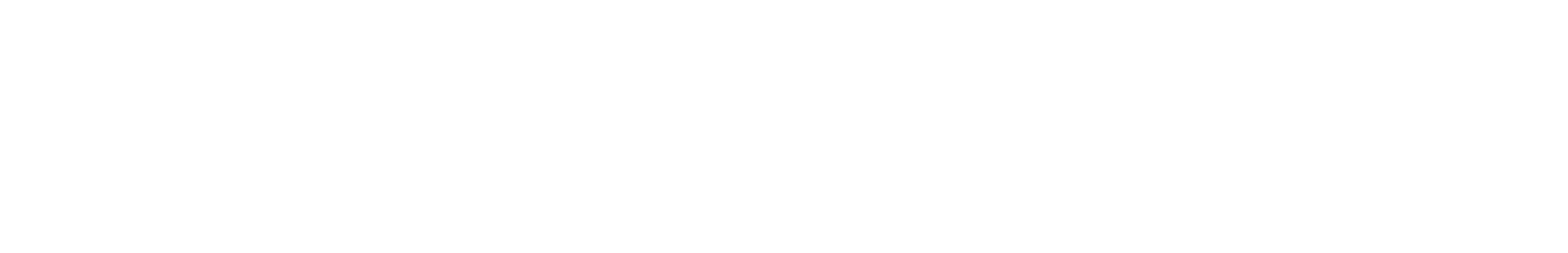 Premier High School Logo